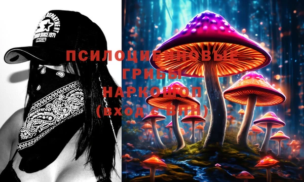 2c-b Балахна