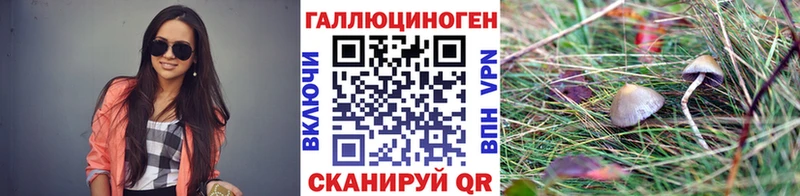 Галлюциногенные грибы GOLDEN TEACHER  Буинск 